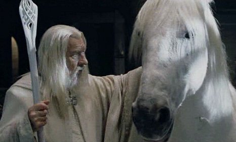 Gandalf a Stínovlas.jpg