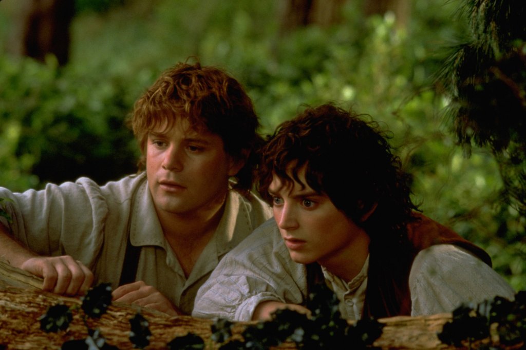 sam a frodo.jpg